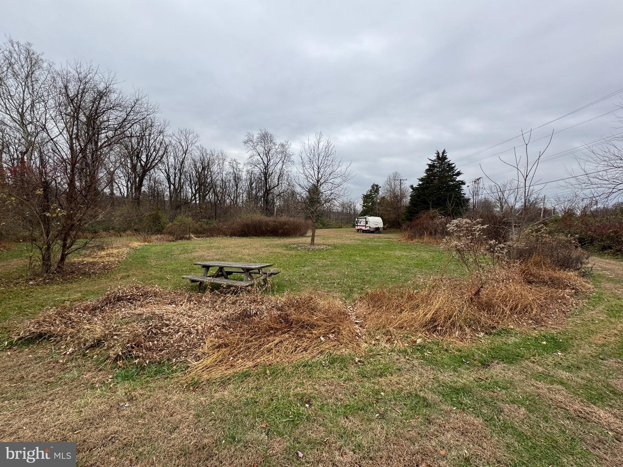 131 North Main Street Douglassville, PA 19518 - Photo 2 of 29 a view of a yard with a tree