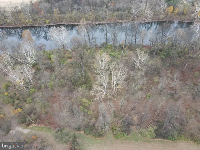 a view of a bench in the backyard