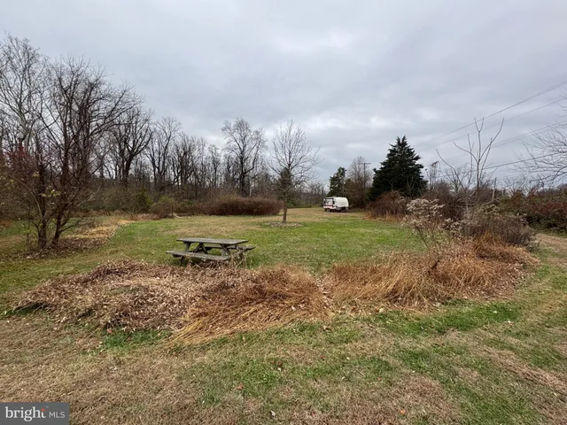 a view of a yard with a tree