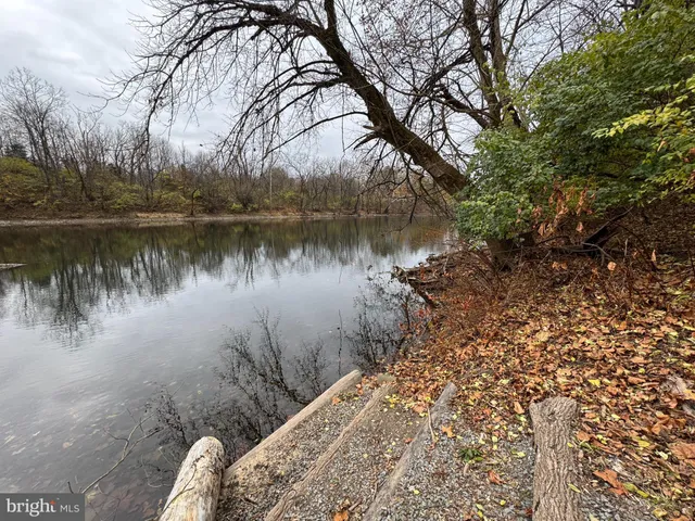 a body of water with a tree in the background