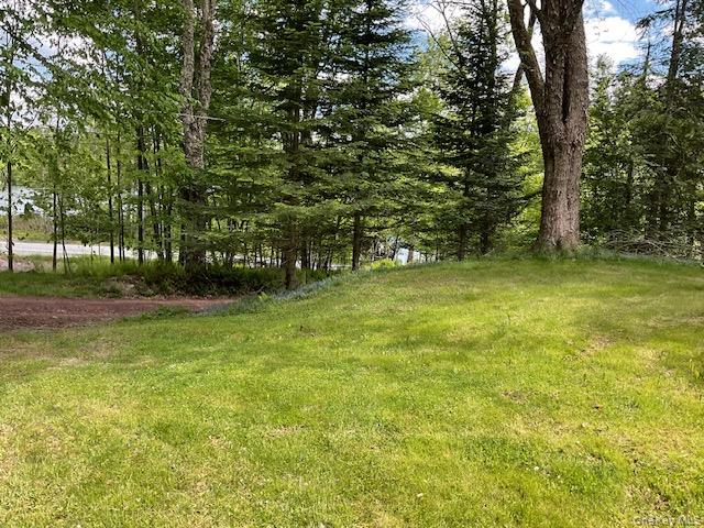 5 Lake Muskoday Road Roscoe, NY 12776 - Photo 3 of 8 Front lawn area