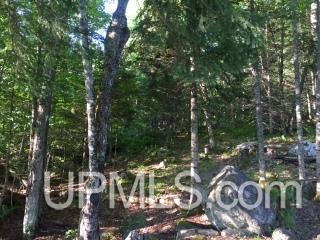 Tbd Cardinal Point Road Michigamme, MI 49861 - Photo 6 of 9