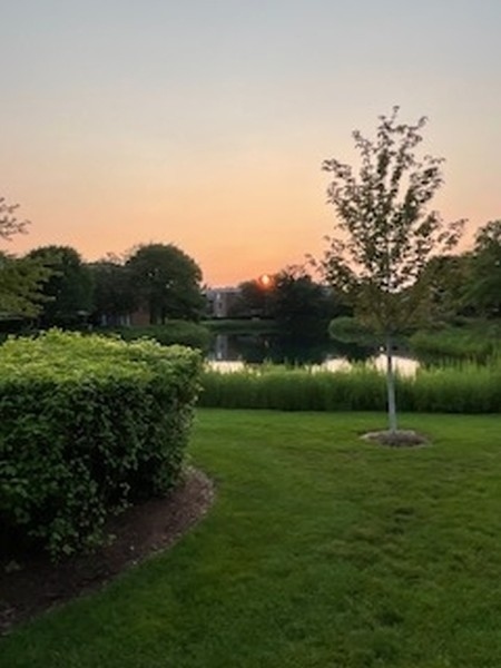 378 Milford Road Deerfield, IL 60015 - Photo 17 of 22 a view of a grassy field with trees