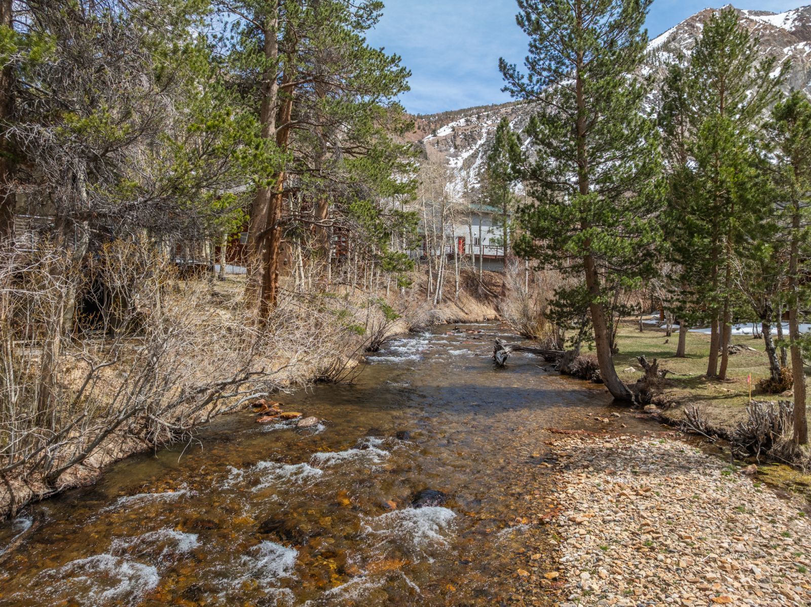 234 Brook Lane Bishop, CA 93514 - Photo 26 of 33 a view of a yard with some trees