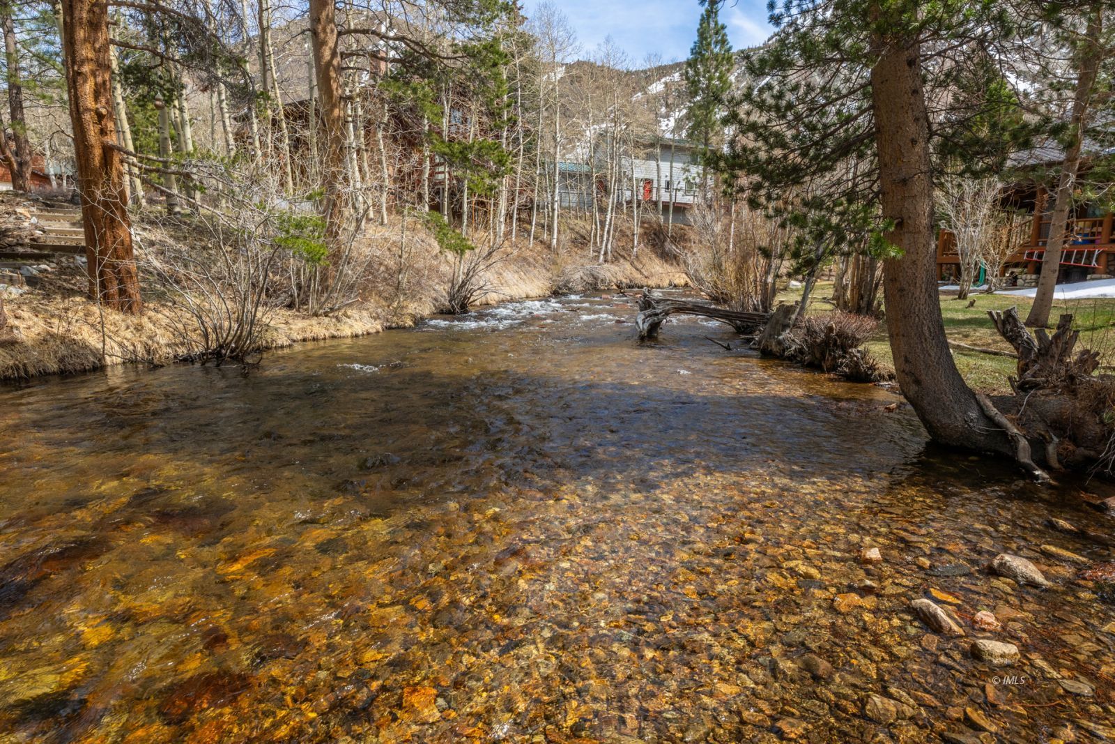 234 Brook Lane Bishop, CA 93514 - Photo 27 of 33 a view of yard with trees