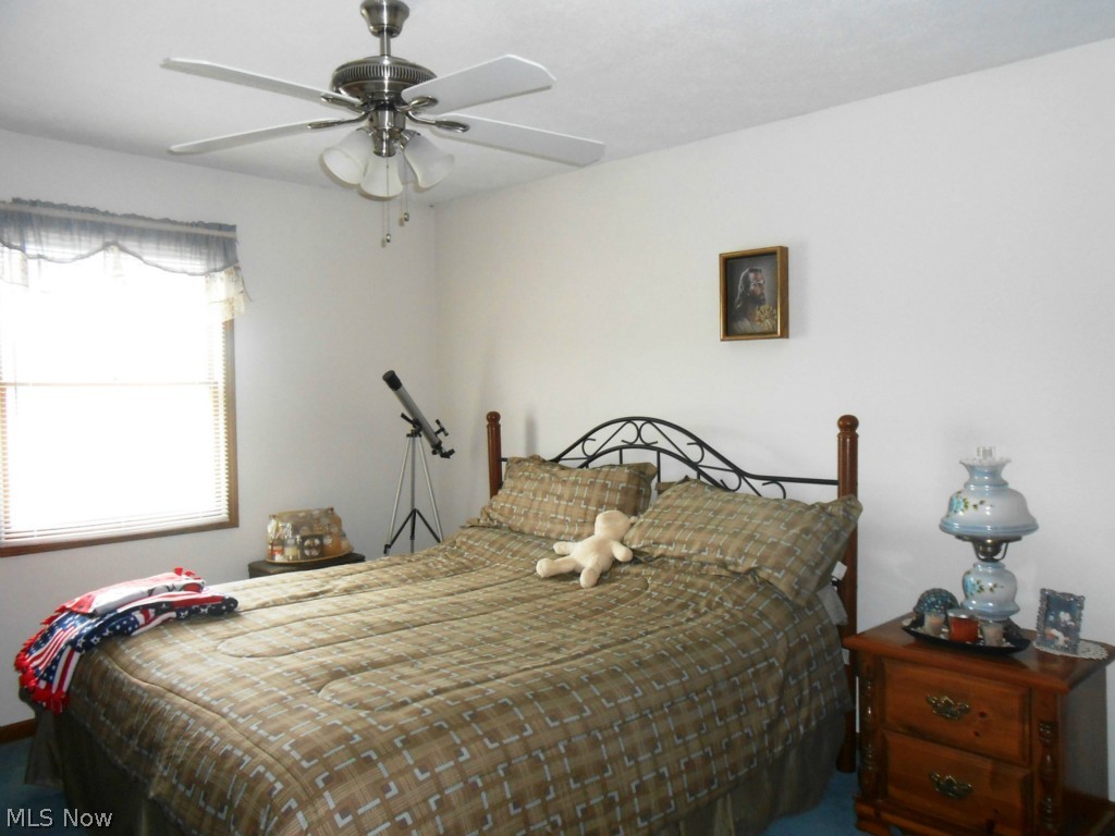 11879 Cook Road Columbiana, OH 44408 - Photo 9 of 13 Gallery Image 9