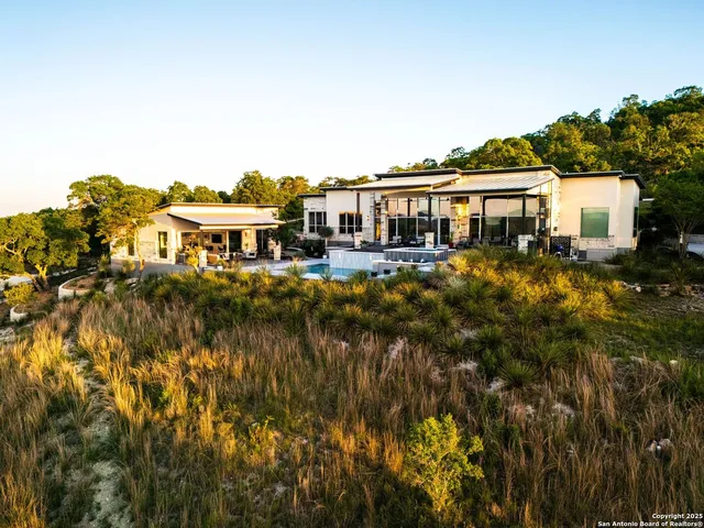 a view of a big yard with plants and large trees