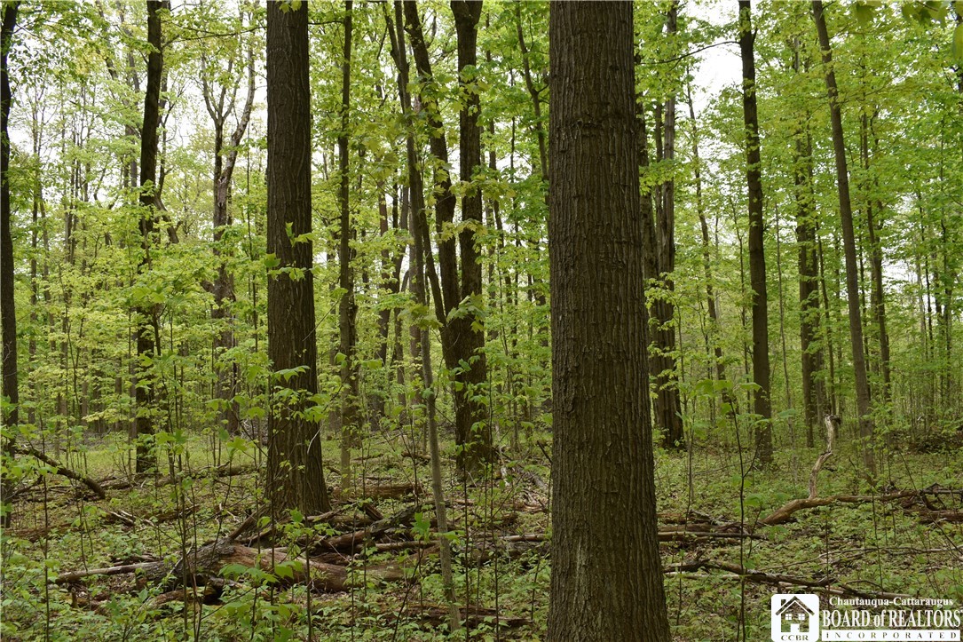 0 Miller Road Ripley, NY 14775 - Photo 1 of 1