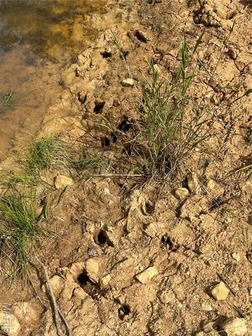 $630,000 | 0 Pike 279, Bowling Green, MO 63334