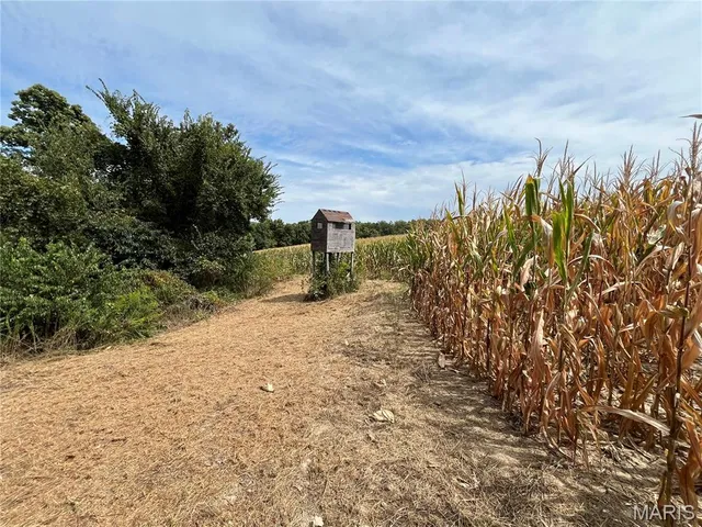 $630,000 | 0 Pike 279, Bowling Green, MO 63334