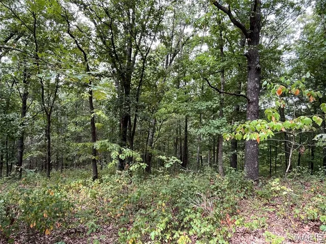 $630,000 | 0 Pike 279, Bowling Green, MO 63334