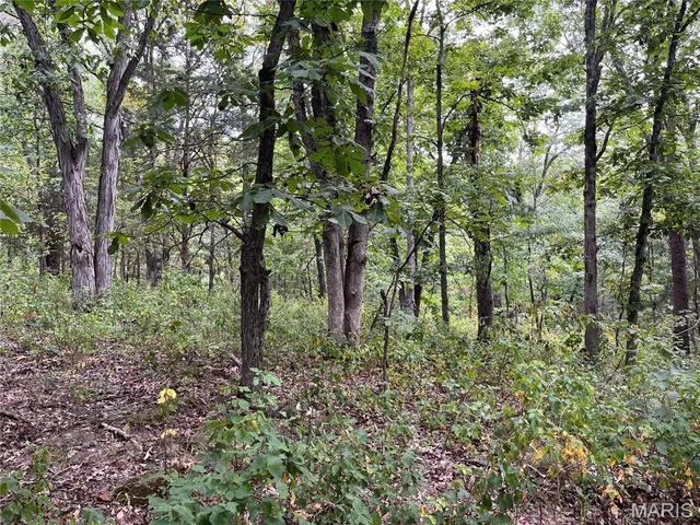 $630,000 | 0 Pike 279, Bowling Green, MO 63334