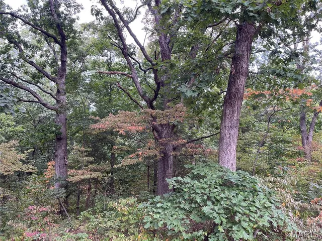 $630,000 | 0 Pike 279, Bowling Green, MO 63334