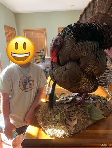 $630,000 | 0 Pike 279, Bowling Green, MO 63334