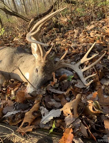 $630,000 | 0 Pike 279, Bowling Green, MO 63334