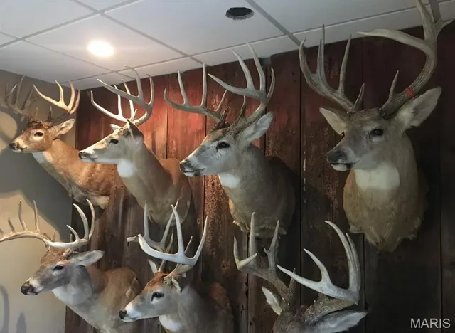 $630,000 | 0 Pike 279, Bowling Green, MO 63334