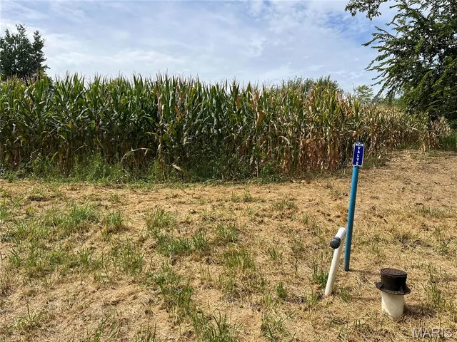 $630,000 | 0 Pike 279, Bowling Green, MO 63334