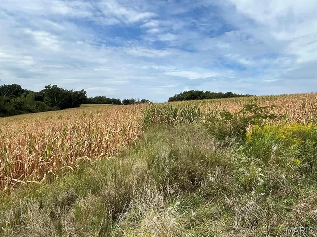 $630,000 | 0 Pike 279, Bowling Green, MO 63334