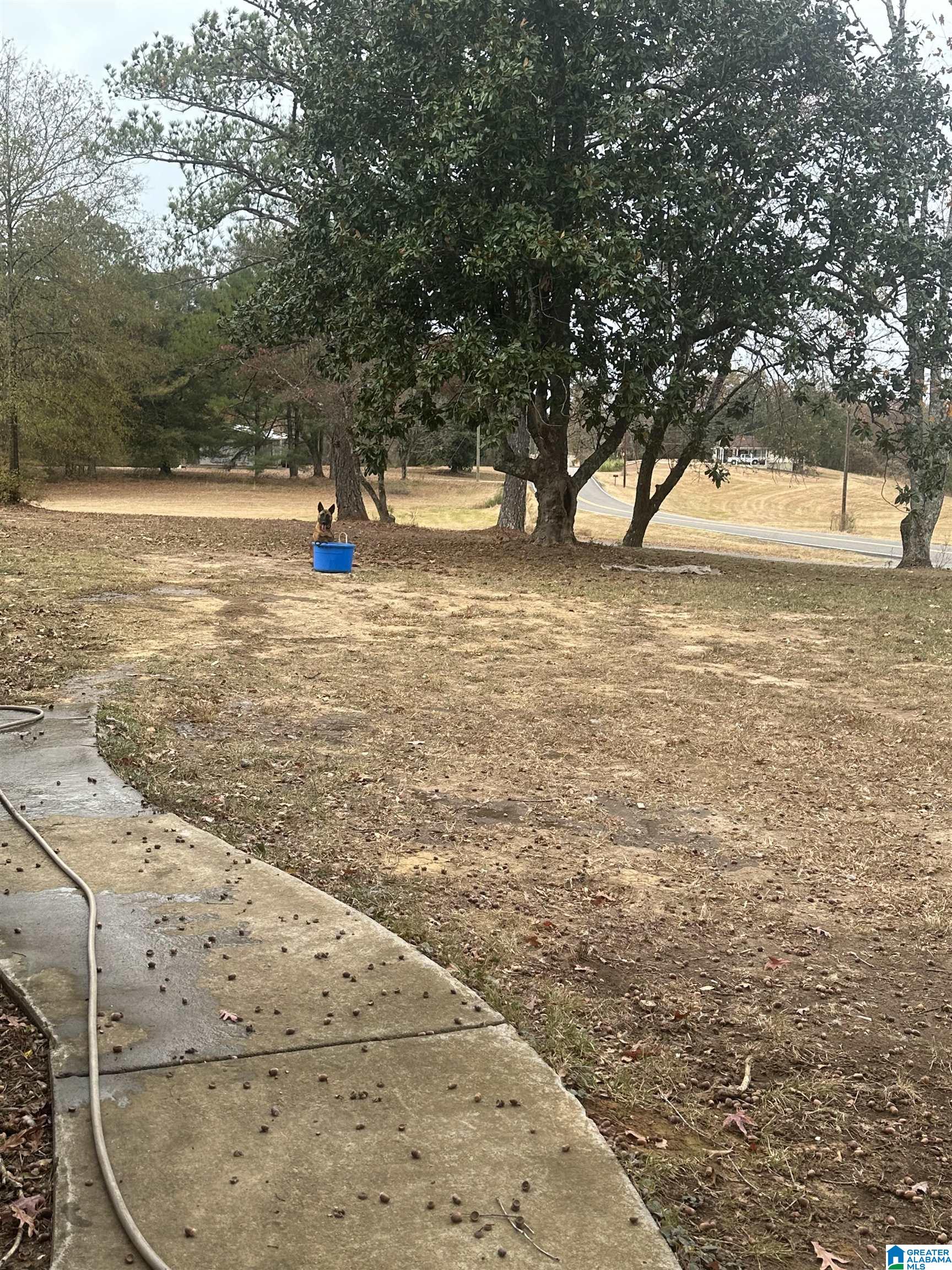 451 Prospect Road Nauvoo, AL 35578 - Photo 14 of 16
