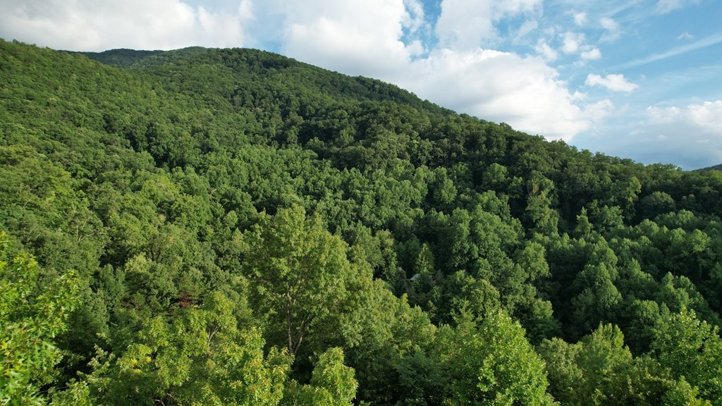 0 Trapper John Way Sevierville, TN 37862 - Photo 17 of 18