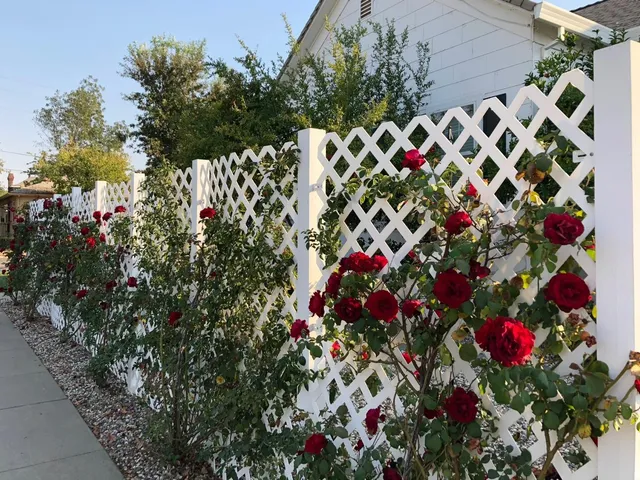 $399,000 | 401 3rd Street, Wheatland, CA 95692