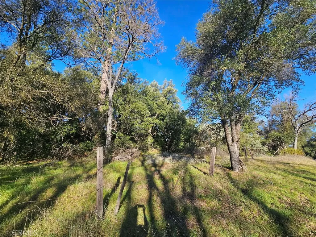 8 Road 225 North Fork, CA 93643 - Photo 11 of 16