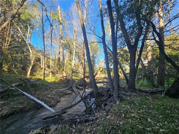 a view of backyard with green space