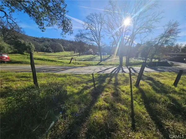 a view of a park with large trees