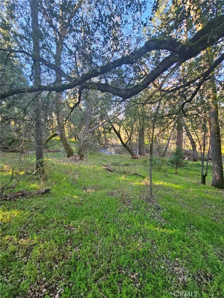 8 Road 225 North Fork, CA 93643 - Photo 2 of 16