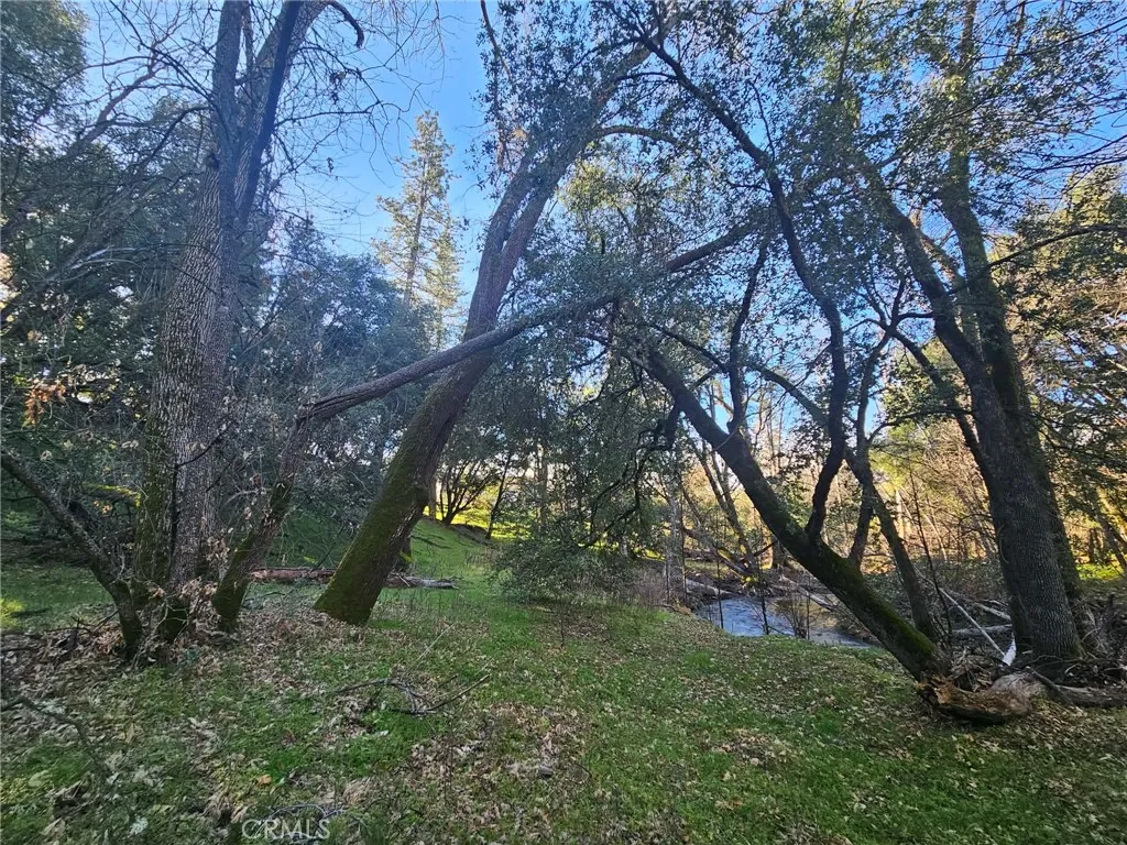 8 Road 225 North Fork, CA 93643 - Photo 5 of 16