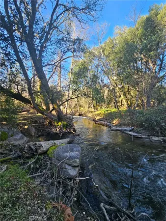 a view of dirt yard with a tree