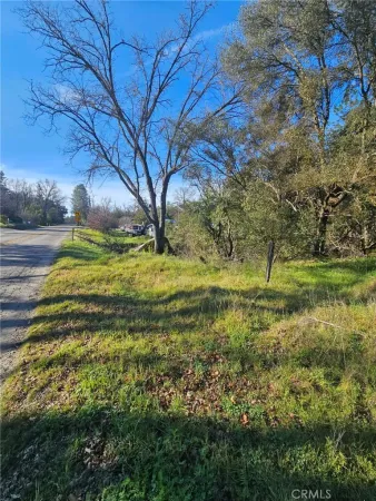 a view of outdoor space with trees all around