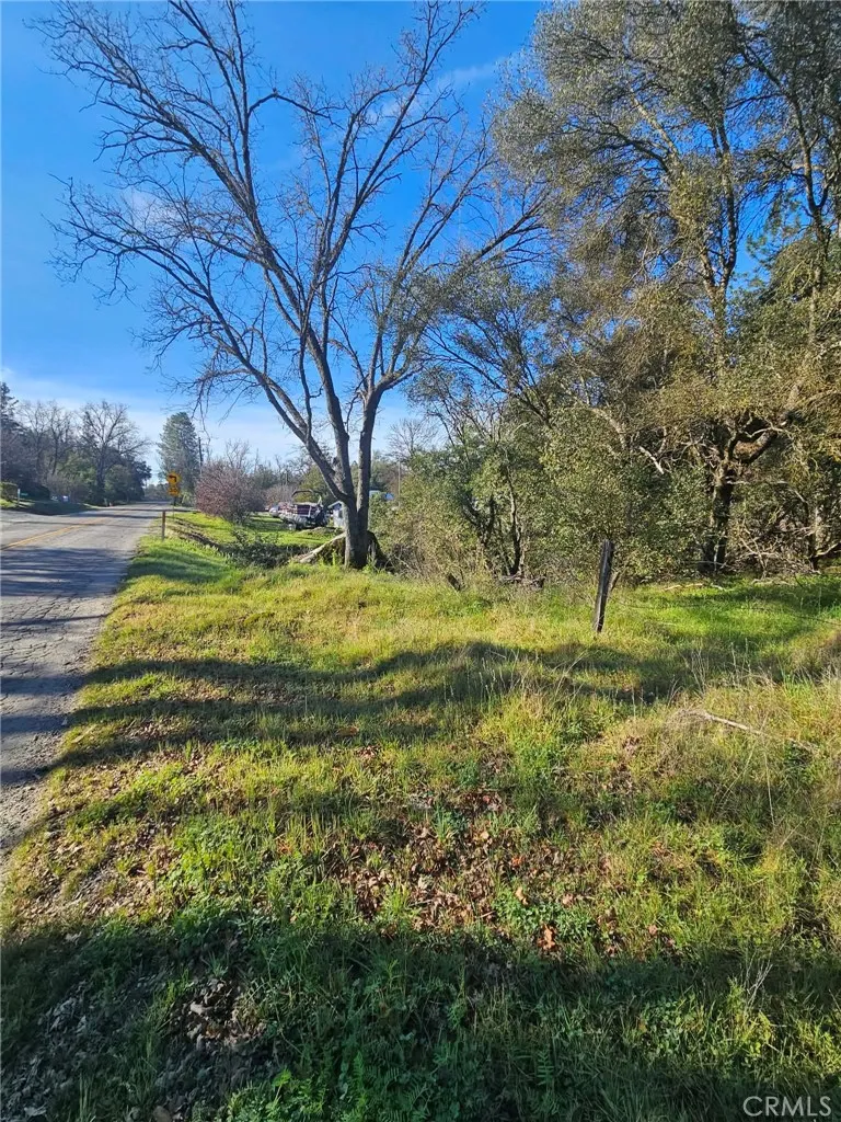 8 Road 225 North Fork, CA 93643 - Photo 7 of 16
