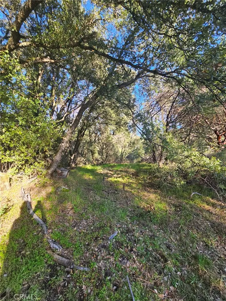 8 Road 225 North Fork, CA 93643 - Photo 8 of 16