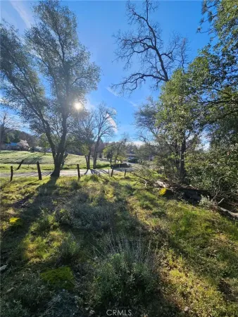 a view of yard with green space