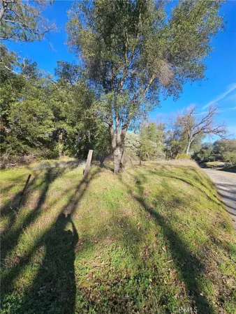 a view of yard with green space