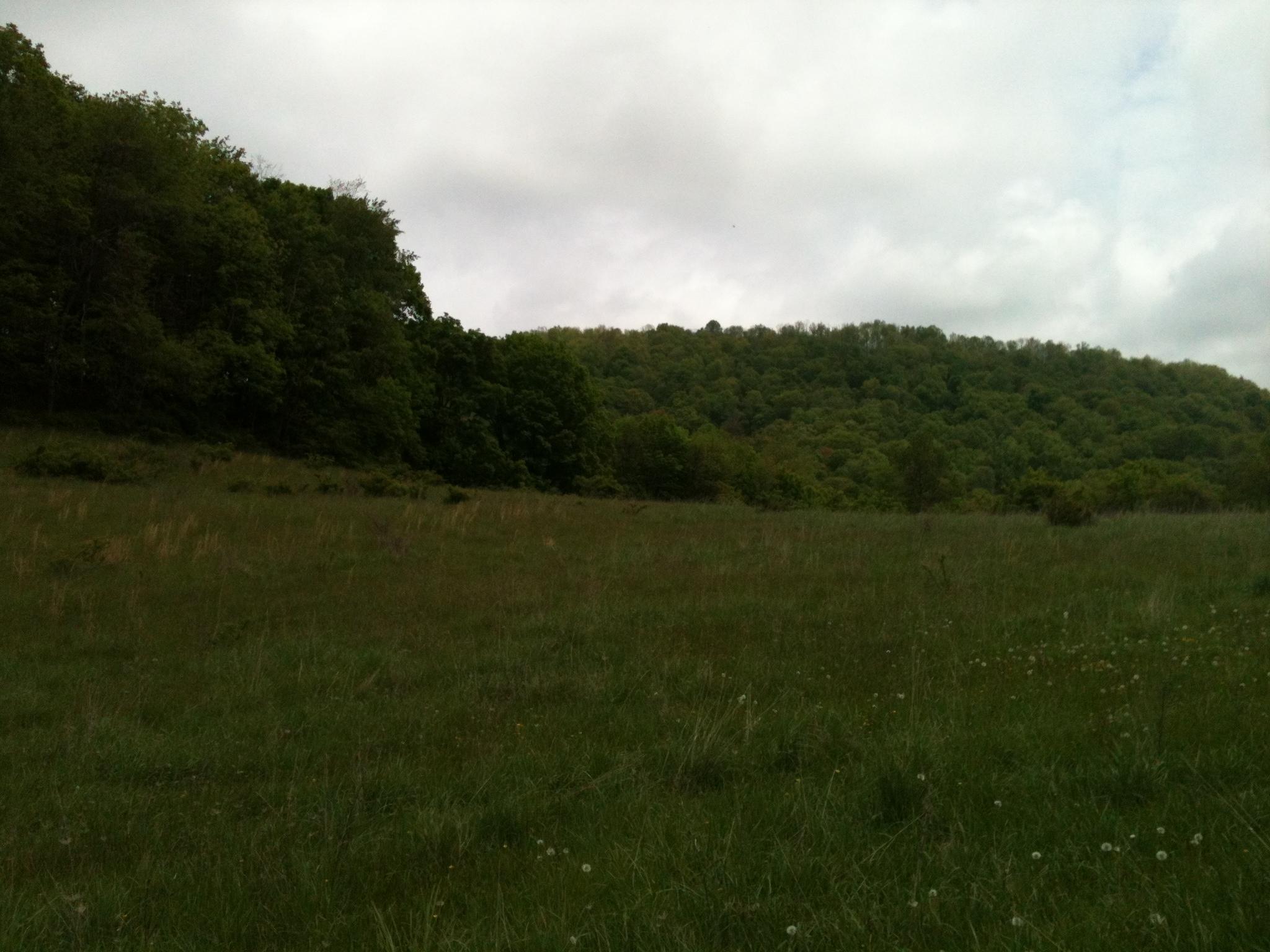 Old Renick Valley Road Renick, WV 24966 - Photo 8 of 25 Gallery Image 8