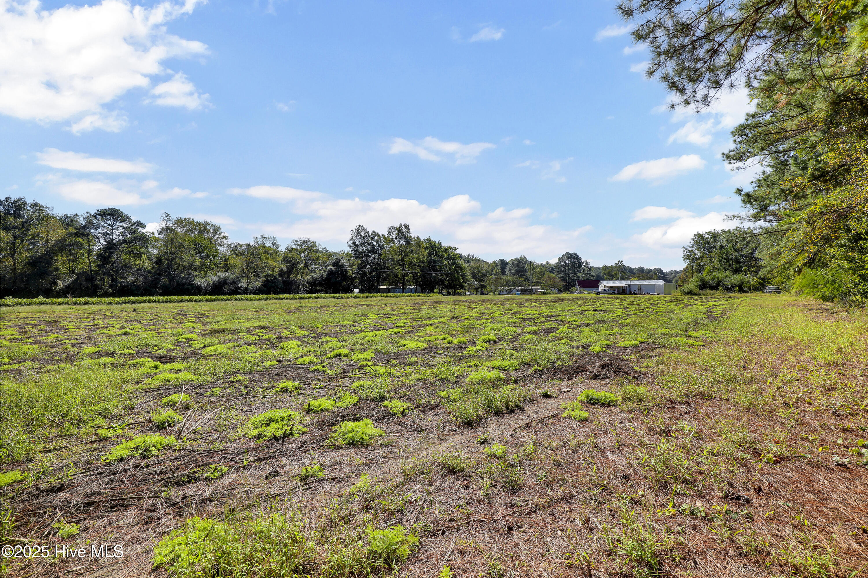 986 Five Mile Road Richlands, NC 28574 - Photo 11 of 20 6G8A3141