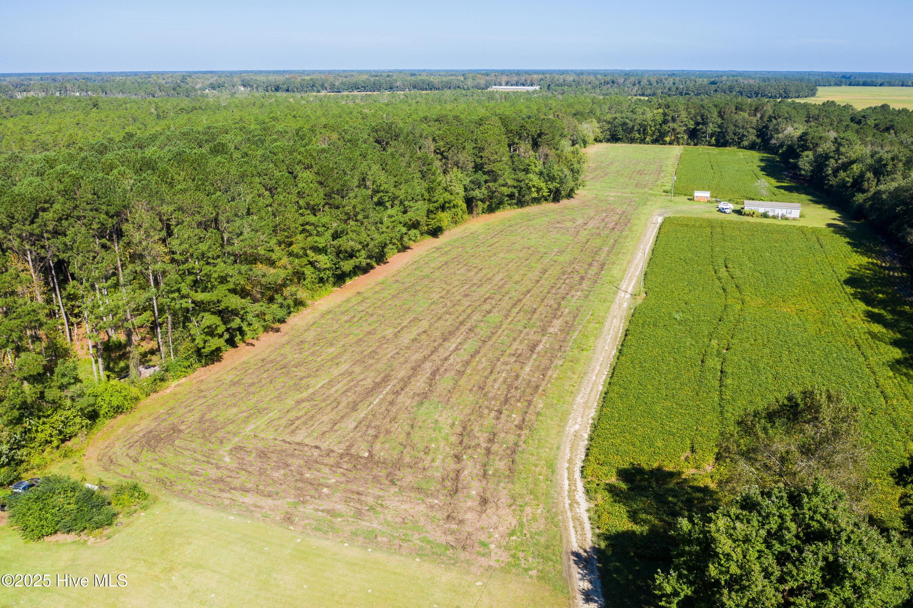 986 Five Mile Road Richlands, NC 28574 - Photo 20 of 20 DJI_0954