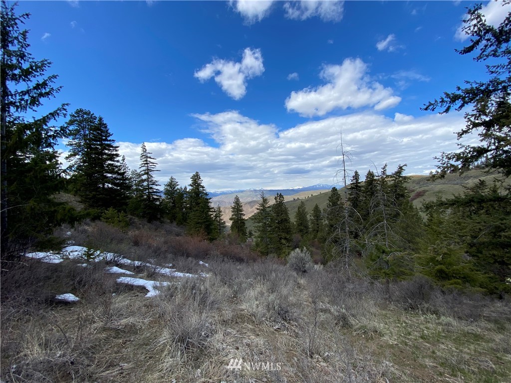 13 Tyee View Loop Waterville, WA 98858 - Photo 1 of 6 Gallery Image 1