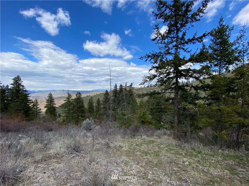 13 Tyee View Loop Waterville, WA 98858 - Photo 3 of 6 Gallery Image 3