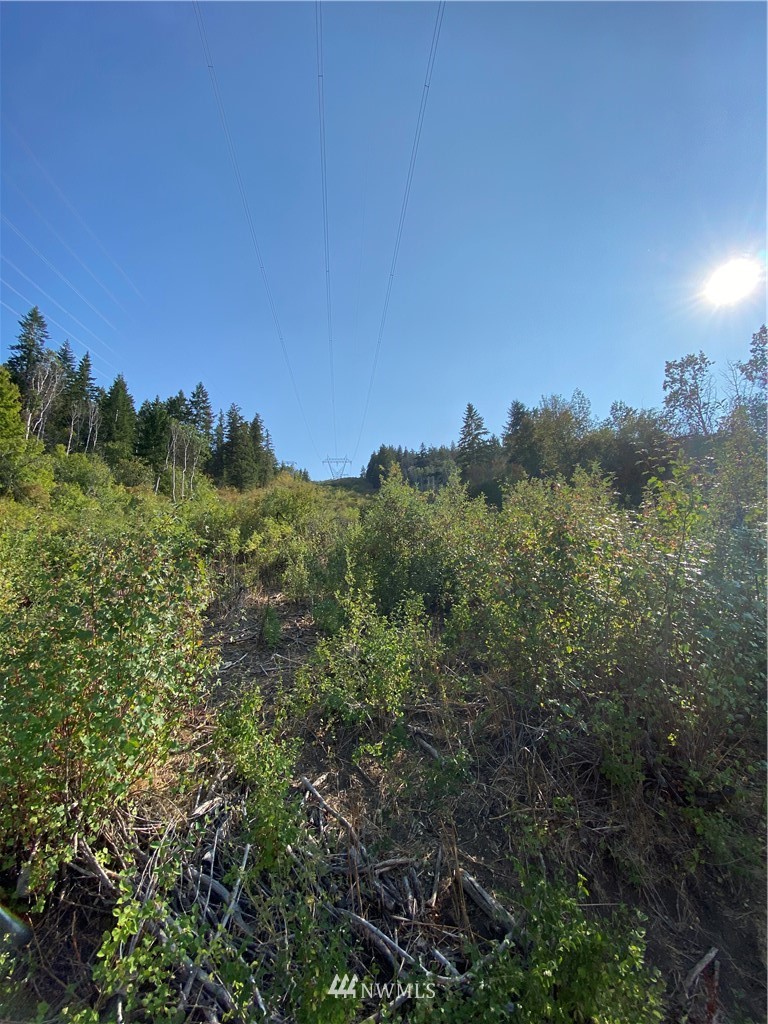 13 Tyee View Loop Waterville, WA 98858 - Photo 5 of 6 Gallery Image 5