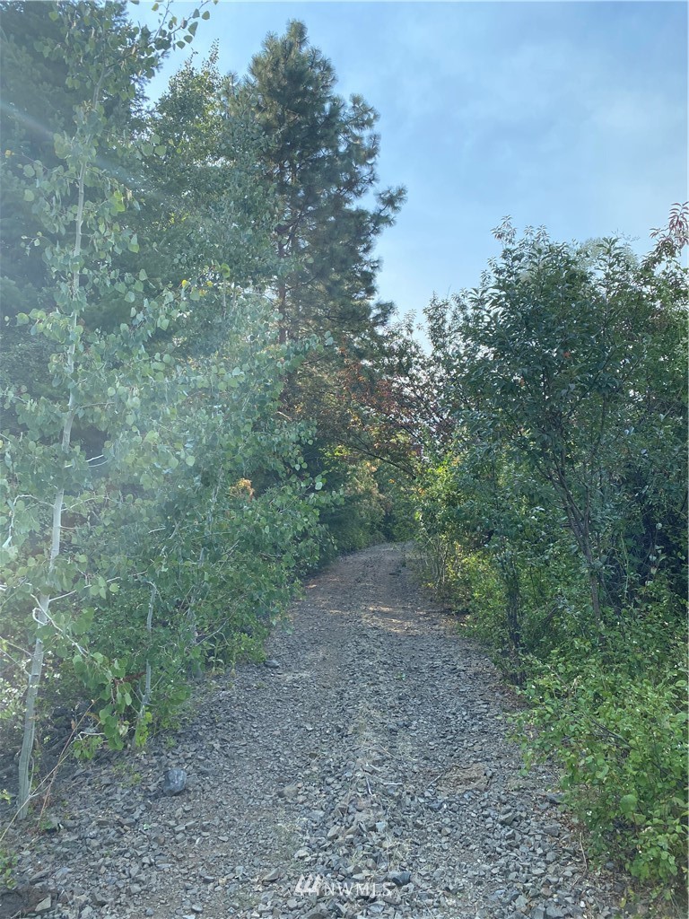 13 Tyee View Loop Waterville, WA 98858 - Photo 6 of 6 Gallery Image 6