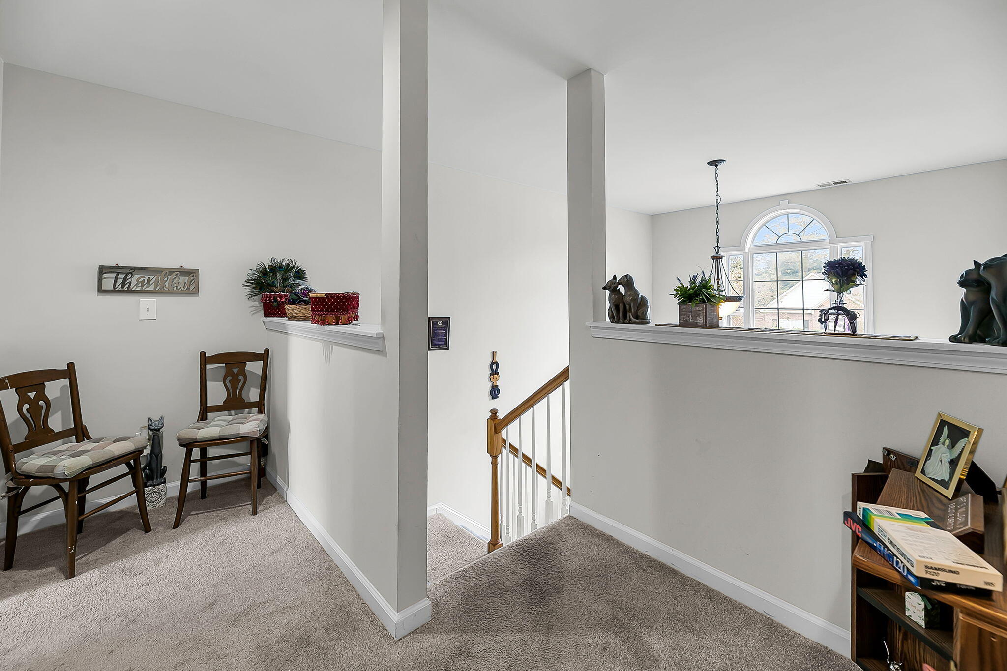 8725 Evangeline Drive North Charleston, SC 29420 - Photo 16 of 38 CREM - 8725 Evangeline-20