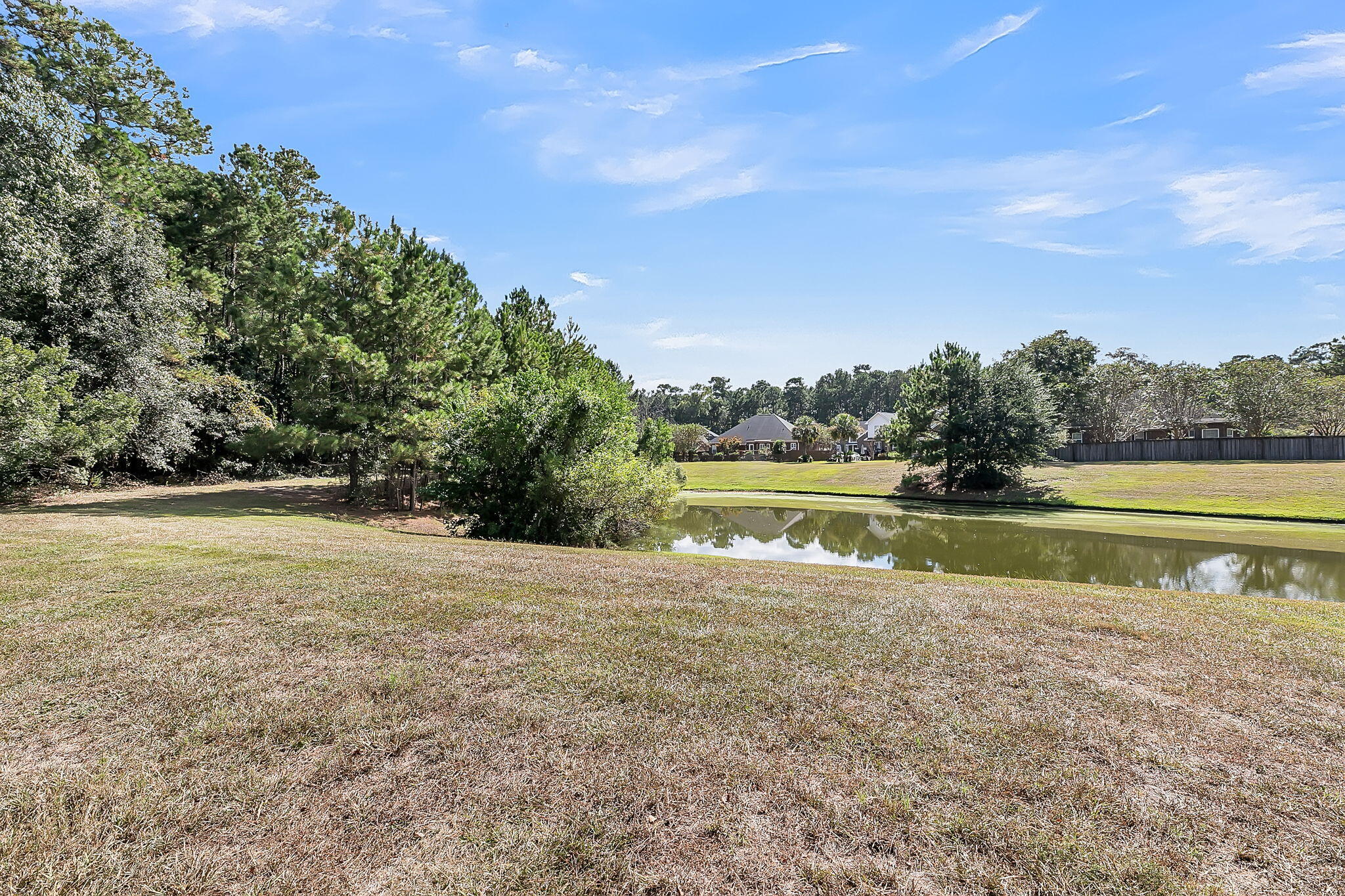 8725 Evangeline Drive North Charleston, SC 29420 - Photo 3 of 38 CREM - 8725 Evangeline-36