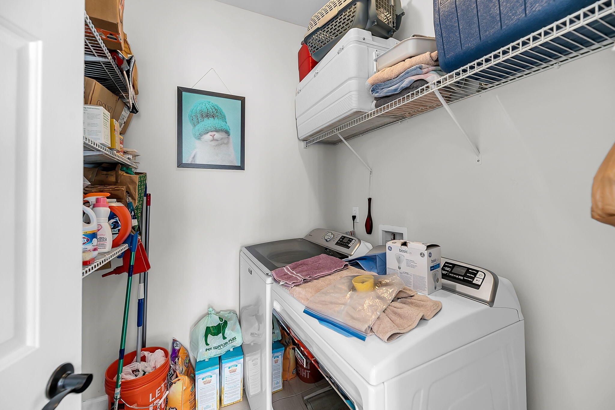 8725 Evangeline Drive North Charleston, SC 29420 - Photo 36 of 38 CREM - 8725 Evangeline-15