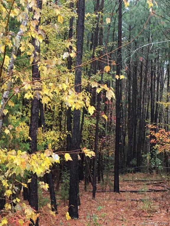 4491 Cannery Road Lancaster, SC 29720 - Photo 4 of 27