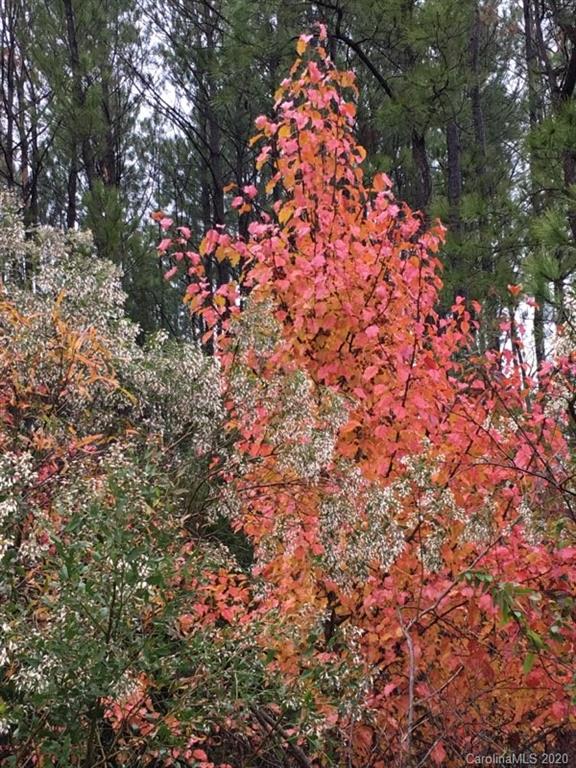 4491 Cannery Road Lancaster, SC 29720 - Photo 5 of 27