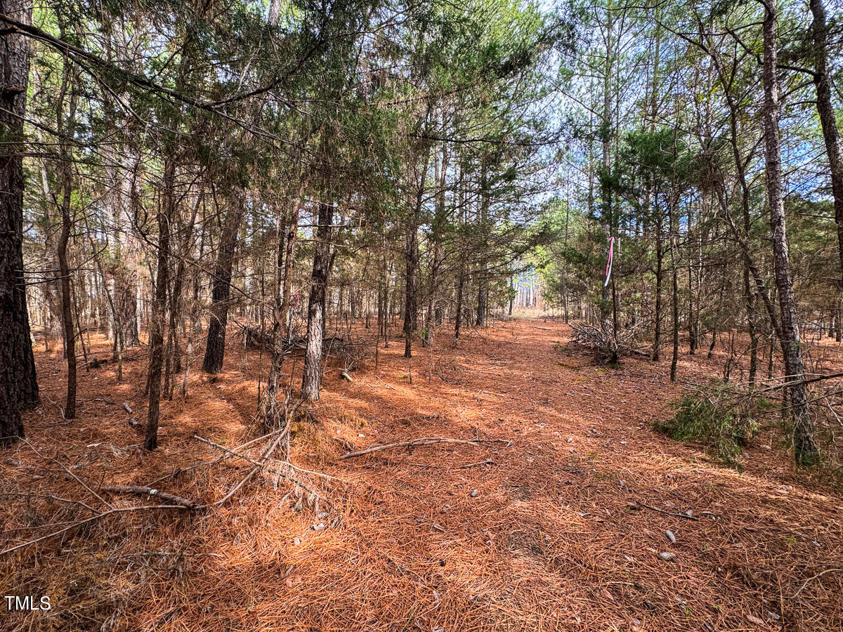 0 Southern High School Road Graham, NC 27253 - Photo 22 of 61 Alamance Co. NC 5.98-Backwoods-The Oaks-