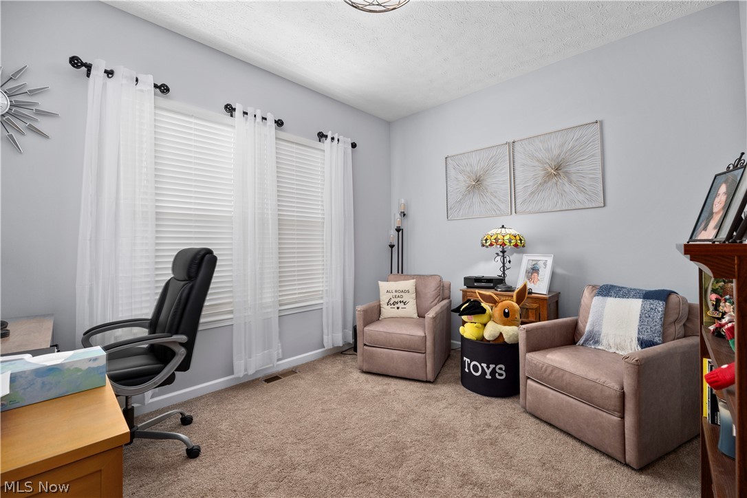 109 West Spring Drive Elyria, OH 44035 - Photo 24 of 46 Carpeted room with light gray walls, featuring three large windows with blinds